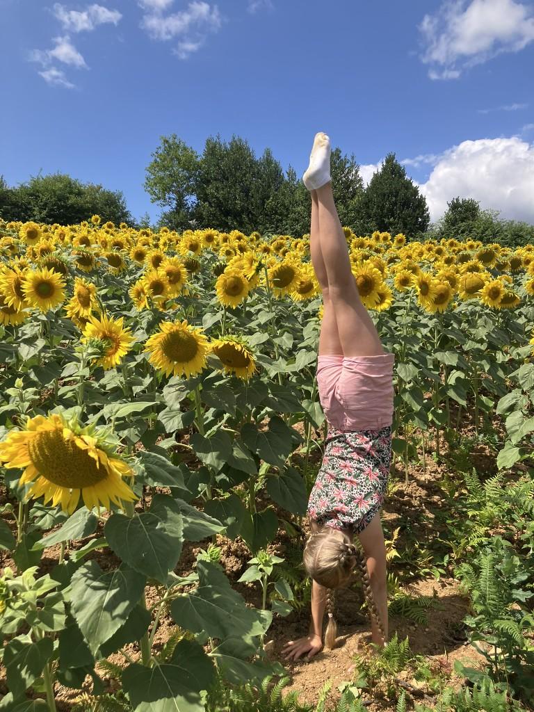 Myrthe Bos de Corrèze in Frankrijk Handstand PT