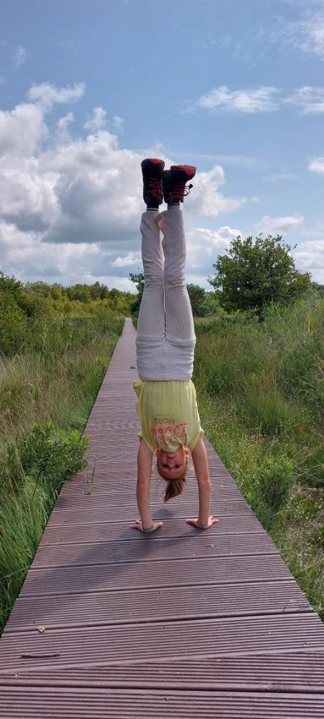annes3 Handstand PT