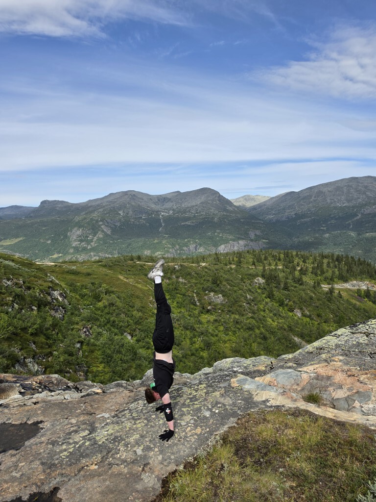 job m2 handstand PT