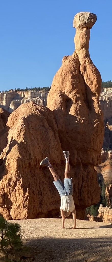 lisa m Handstand PT