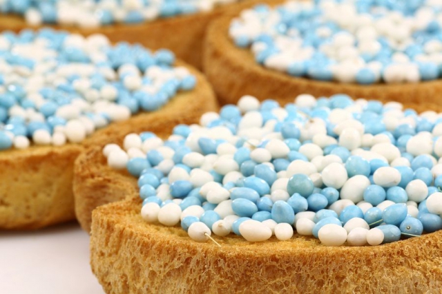 beschuit met muisjes