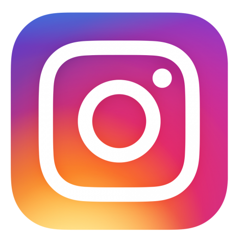 insta logo