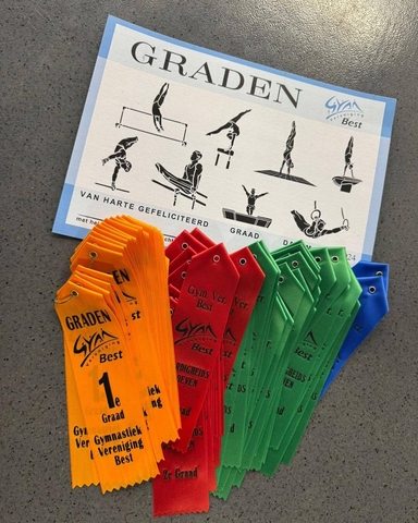 492253023 1300504178266668 7655769558155690228 n 2